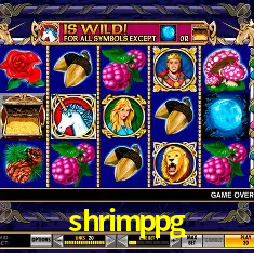 shrimppg São Paulo - Live Tables